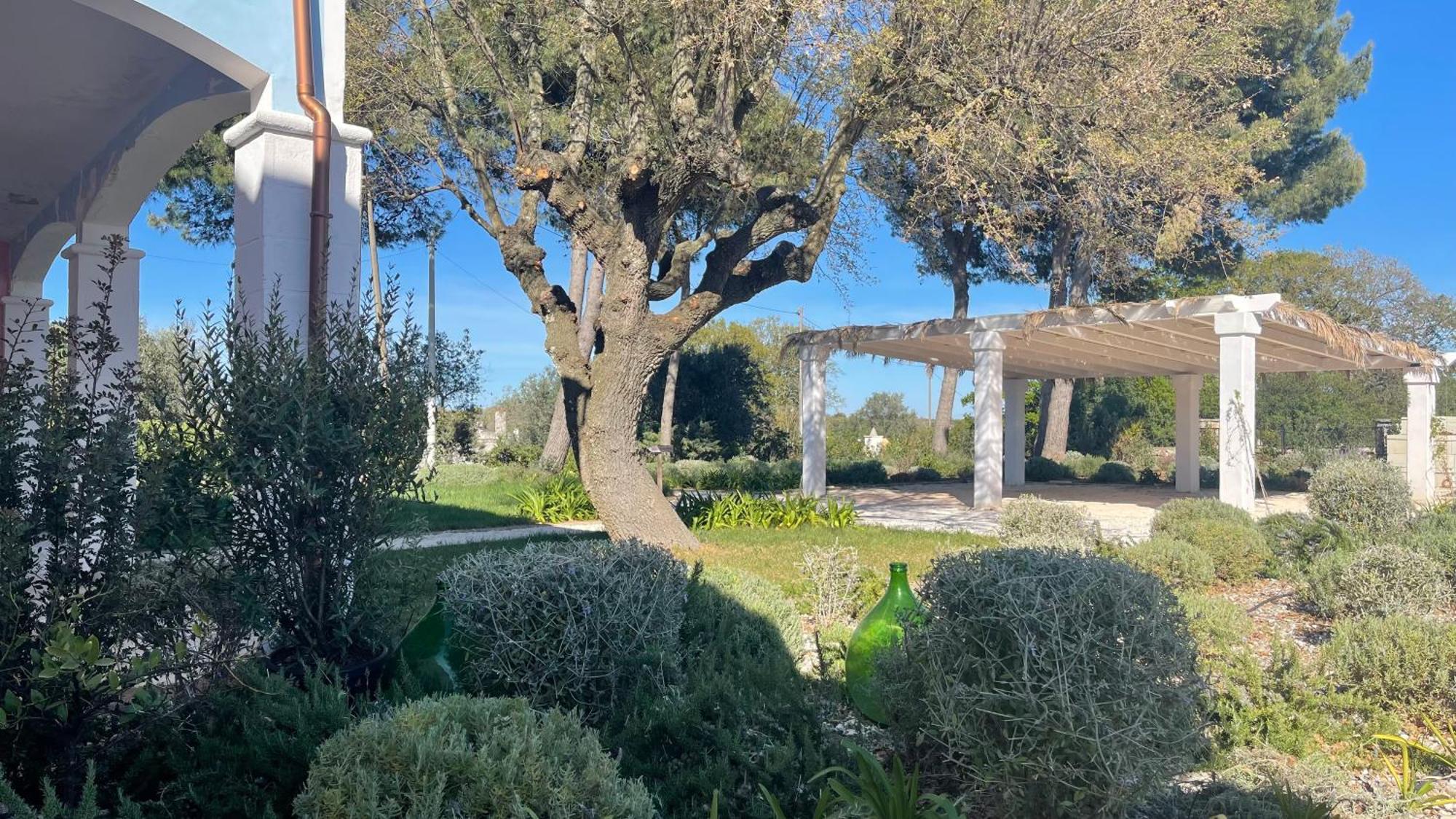 Masseria Trullo Sovrano Exclusive B&B Cisternino Extérieur photo