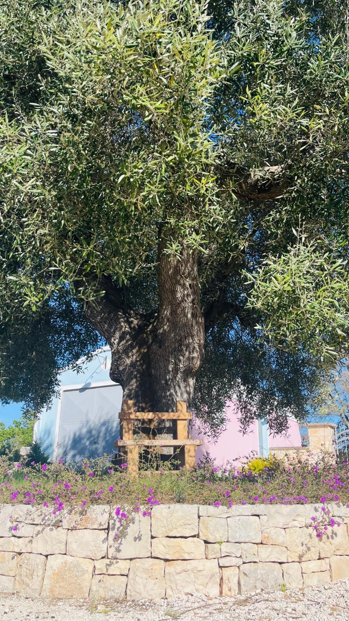 Masseria Trullo Sovrano Exclusive B&B Cisternino Extérieur photo